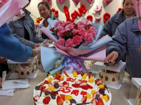 乐鱼官方端网站登录入口_乐鱼leyu(中国)
举办三八妇女节活动